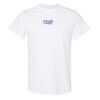 Heavy Cotton™ T-Shirt (Adult) Thumbnail