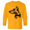  Heavy Cotton™ Long Sleeve T-Shirt (Youth) Thumbnail