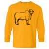  Heavy Cotton™ Long Sleeve T-Shirt (Youth) Thumbnail