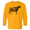  Heavy Cotton™ Long Sleeve T-Shirt (Youth) Thumbnail