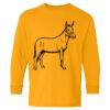  Heavy Cotton™ Long Sleeve T-Shirt (Youth) Thumbnail
