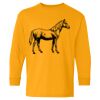  Heavy Cotton™ Long Sleeve T-Shirt (Youth) Thumbnail