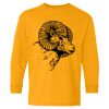  Heavy Cotton™ Long Sleeve T-Shirt (Youth) Thumbnail