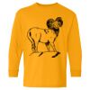  Heavy Cotton™ Long Sleeve T-Shirt (Youth) Thumbnail