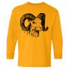  Heavy Cotton™ Long Sleeve T-Shirt (Youth) Thumbnail