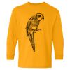  Heavy Cotton™ Long Sleeve T-Shirt (Youth) Thumbnail