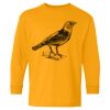  Heavy Cotton™ Long Sleeve T-Shirt (Youth) Thumbnail