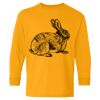  Heavy Cotton™ Long Sleeve T-Shirt (Youth) Thumbnail