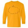  Heavy Cotton™ Long Sleeve T-Shirt (Youth) Thumbnail