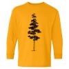  Heavy Cotton™ Long Sleeve T-Shirt (Youth) Thumbnail