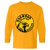  Heavy Cotton™ Long Sleeve T-Shirt (Youth) Thumbnail