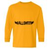  Heavy Cotton™ Long Sleeve T-Shirt (Youth) Thumbnail