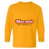  Heavy Cotton™ Long Sleeve T-Shirt (Youth) Thumbnail