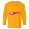  Heavy Cotton™ Long Sleeve T-Shirt (Youth) Thumbnail