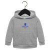 Toddler Sponge Fleece Pullover Hoodie Thumbnail