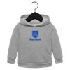 Toddler Sponge Fleece Pullover Hoodie Thumbnail