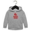 Toddler Sponge Fleece Pullover Hoodie Thumbnail