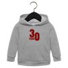 Toddler Sponge Fleece Pullover Hoodie Thumbnail