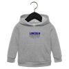 Toddler Sponge Fleece Pullover Hoodie Thumbnail